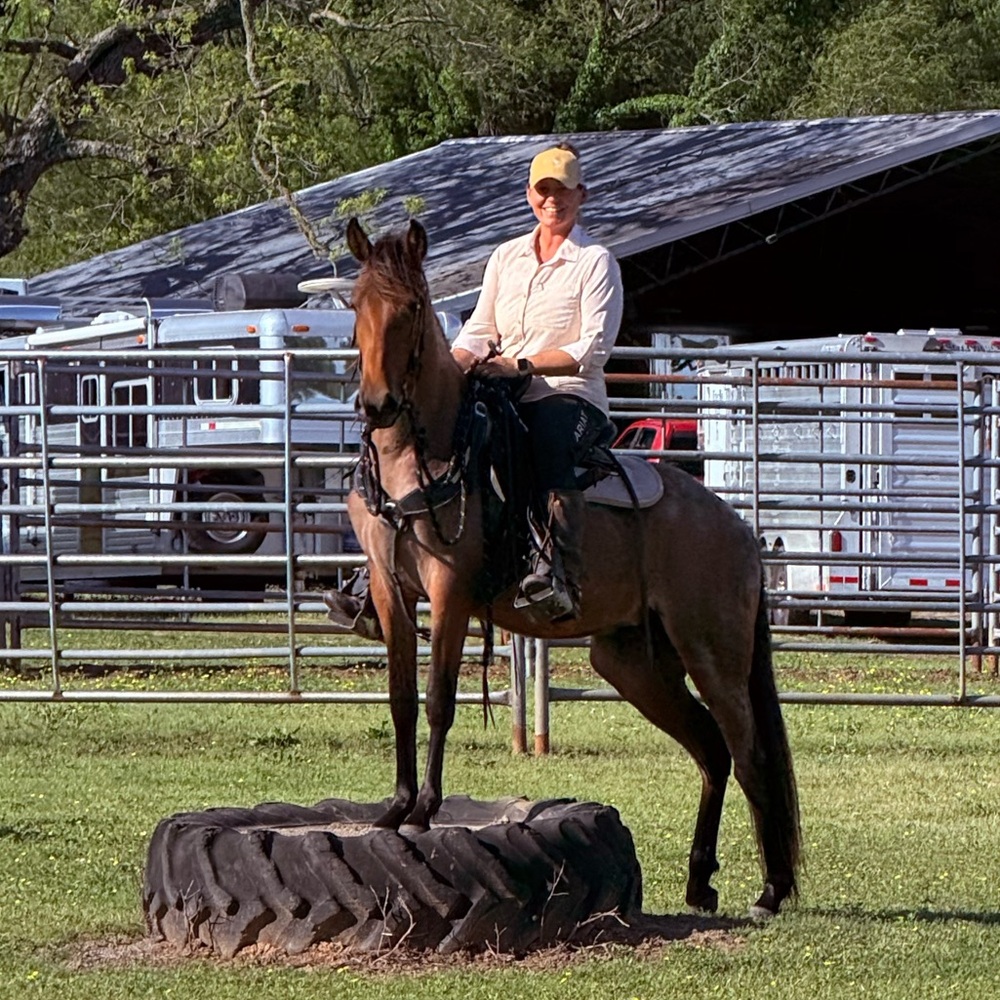 Meet your Posher, Carissa
